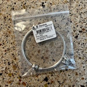 Pandora Bracelet with Dog Charm